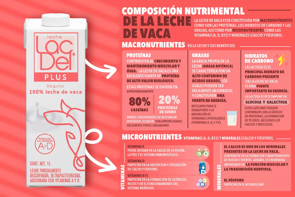 ABP 24-003 ALP LACDEL INFOGRAFIAS_4_R3
